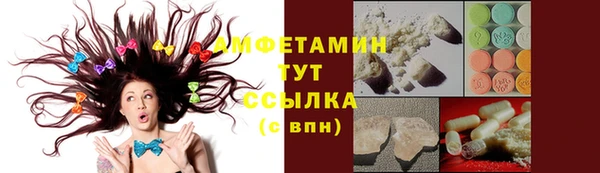 индика Покачи